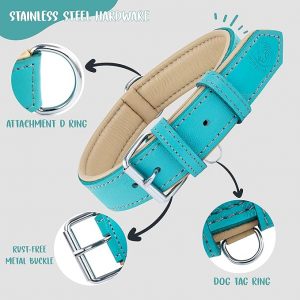 Blue Leather Dog Collar