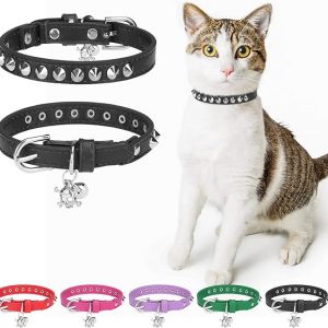 Leather Cat Collars with Skull Charm