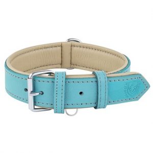 Blue Leather Dog Collar