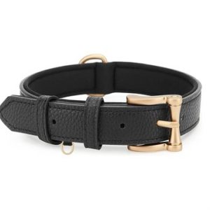 Black Classic Soft Padded Leather Dog Collar