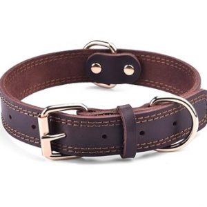 Brown Leather Dog Collar